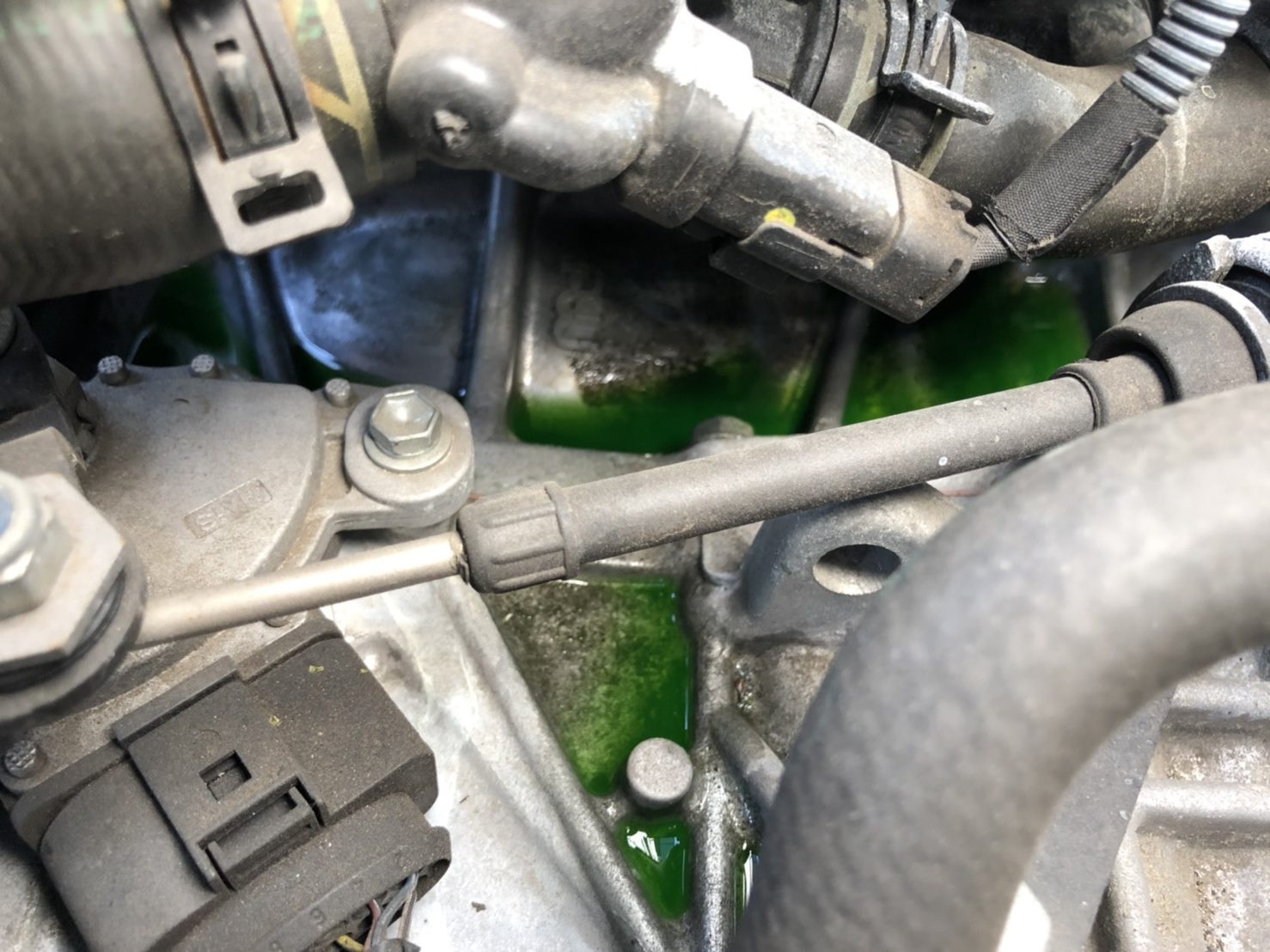車両整備 オイルエレメント サーモスタット ファンベルト交換 茨城県つくば市bmw Mini専門店 Jfolks 車両整備 オイルエレメント サーモスタット ファンベルト交換 茨城県つくば市bmw Mini専門店 Jfolks